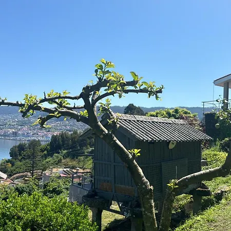 Дом отдыха Marita 1900 *