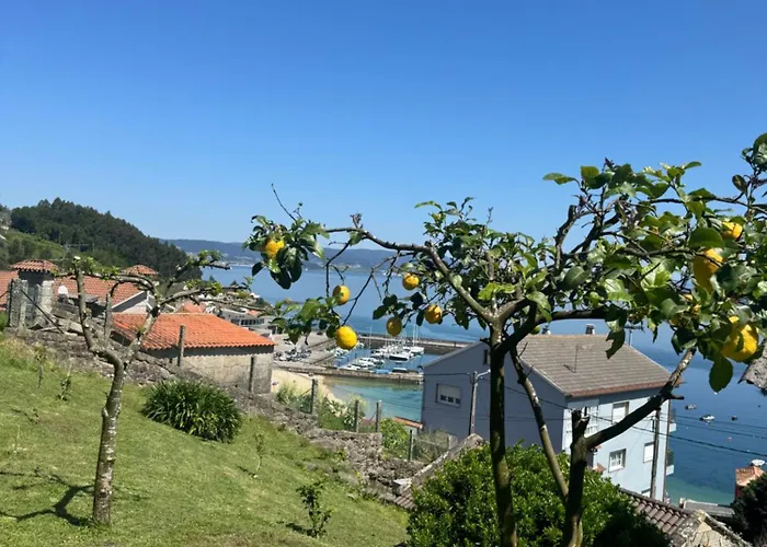 Дом отдыха Marita 1900 *